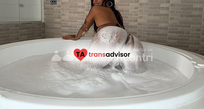 ALMA TRANS🔥