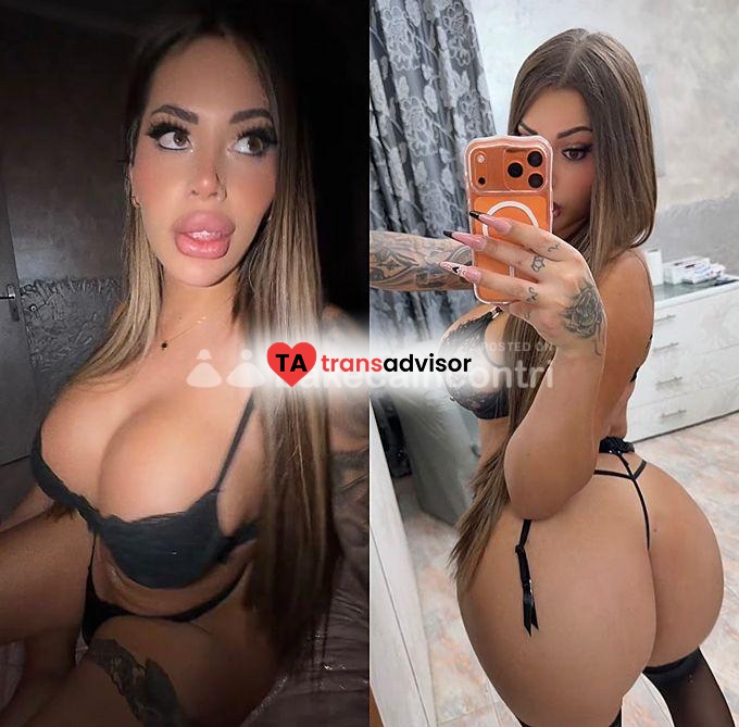 TRANS PORCA
